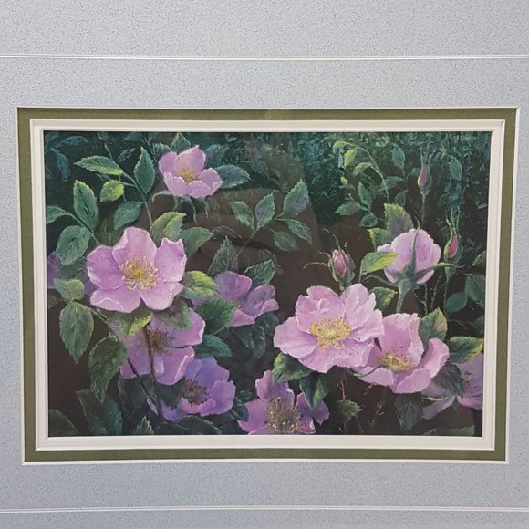 Framed Art Prints Alberta Wild Rose IV and Alberta Wild Rose VI by Elsie Baer - Picture 9 of 16